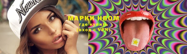 хмурый Алзамай