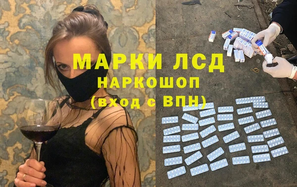 хмурый Алзамай