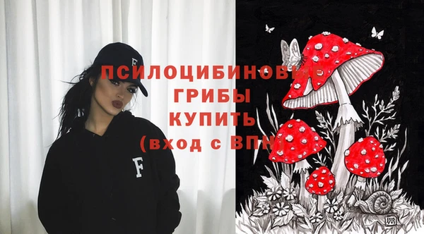 хмурый Алзамай