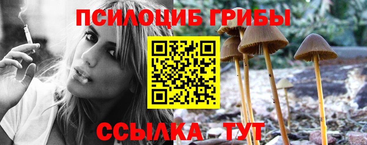 Североуральск  Галлюциногенные грибы GOLDEN TEACHER  Вход с VPN  купить закладку  Псилоцибиновые грибы мухоморы 